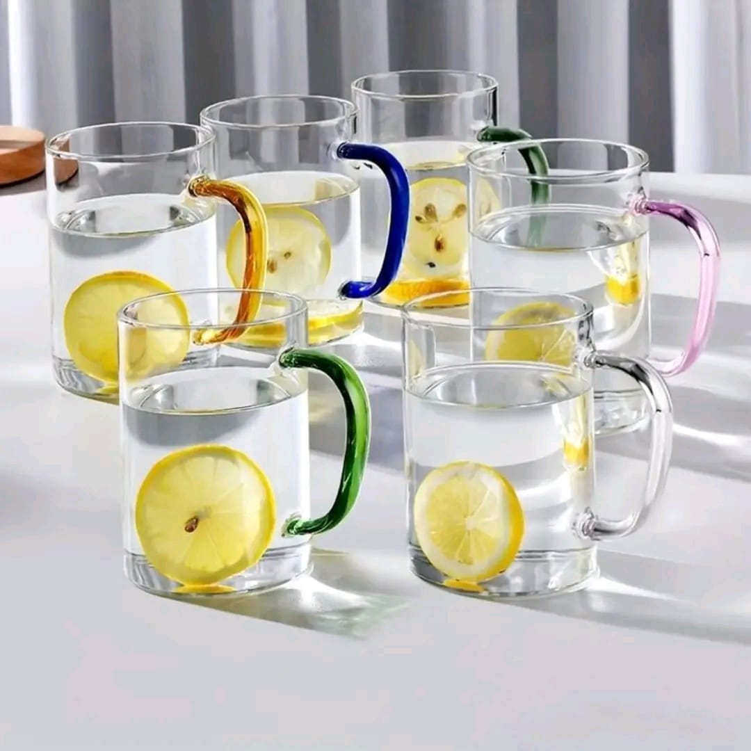 6Pcs Borosilicate Glass Mug Set