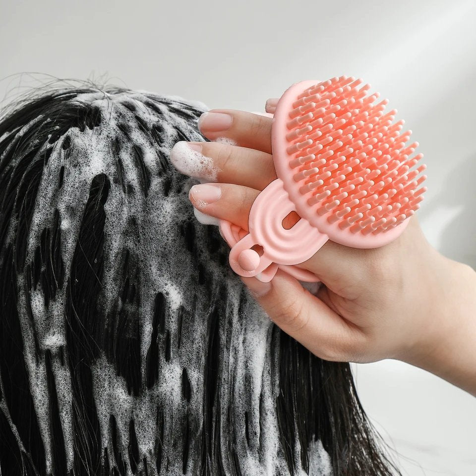 Double Sided Sofa shampoo and Brush Brush