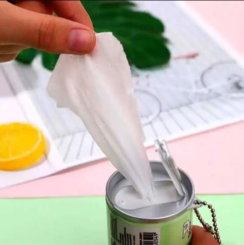 Portable Mini Wet Tissue Wipe Dispensers (30pcs Wipes)