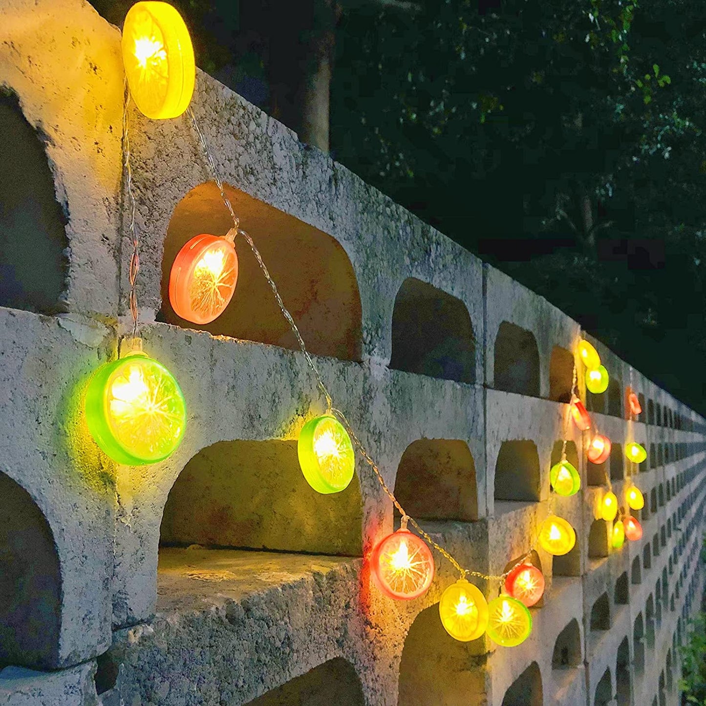 Lemon Orange Fruit Fairy Light USB+Cell Operated
