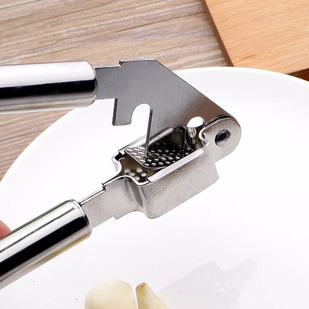 Stainless Steel Garlic Presser