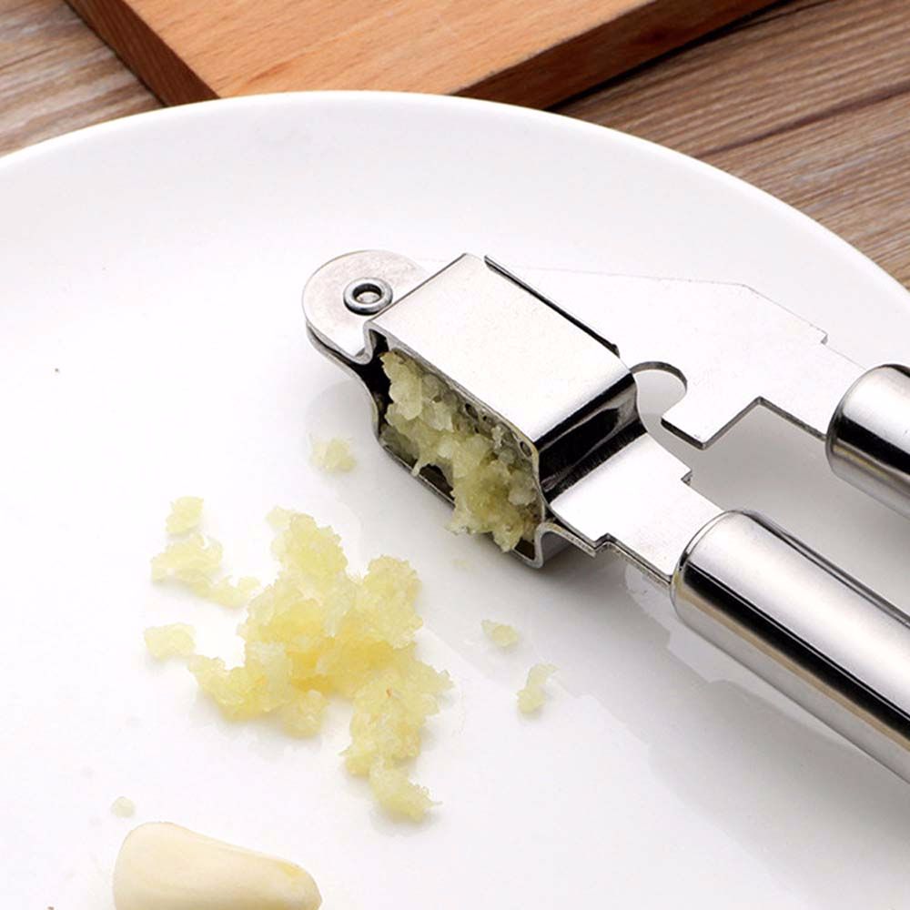 Stainless Steel Garlic Presser