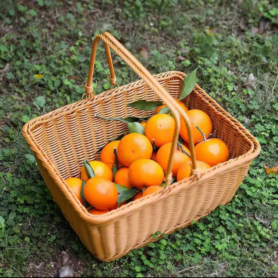 Woven Picnic Basket, Water Bread Service Box, Light Weight Imit