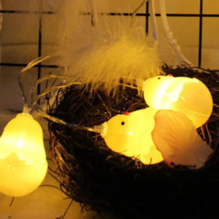Fairy Chicken Eggs string Lights USB+CELL Operate