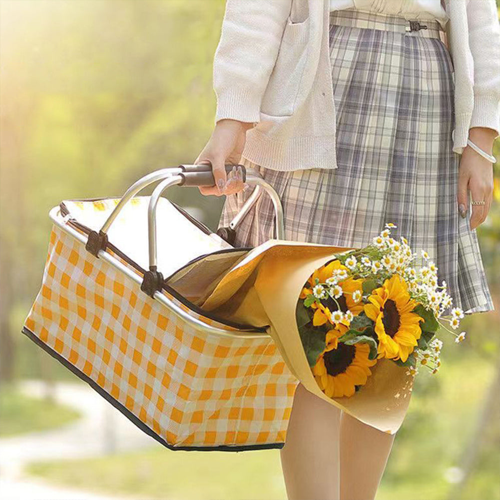 Portable Folding Picnic Bag (Superior Quality)