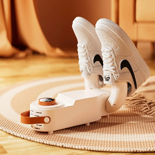 Intelligent Electric Shoe Dryer