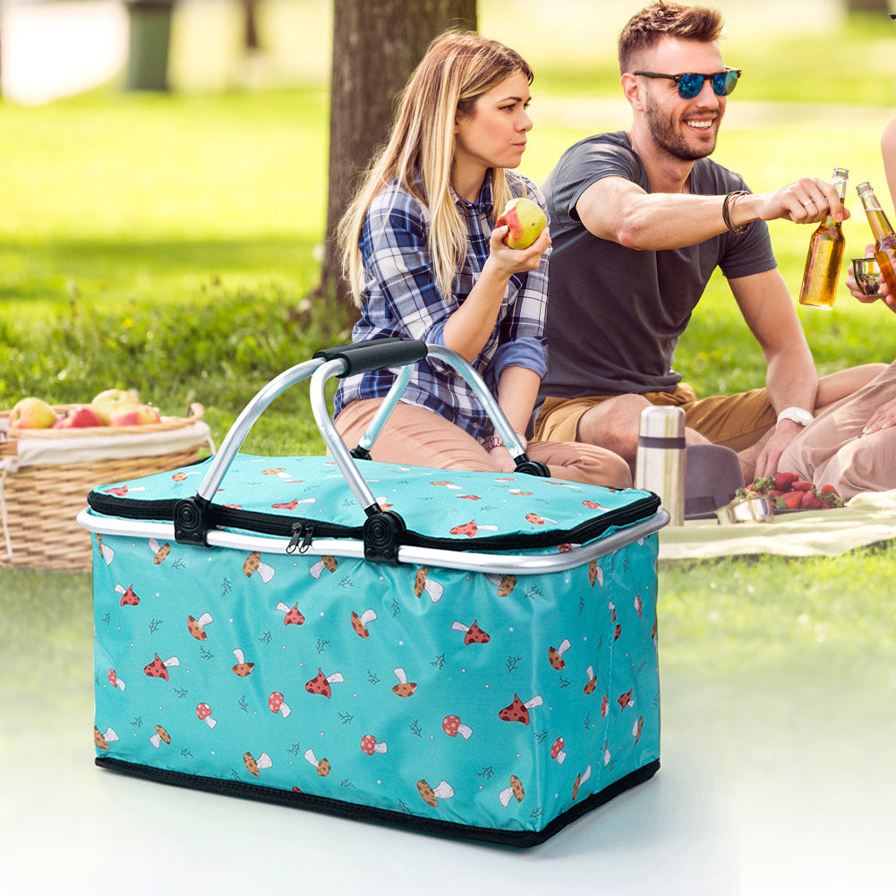 Portable Folding Picnic Bag (Superior Quality)