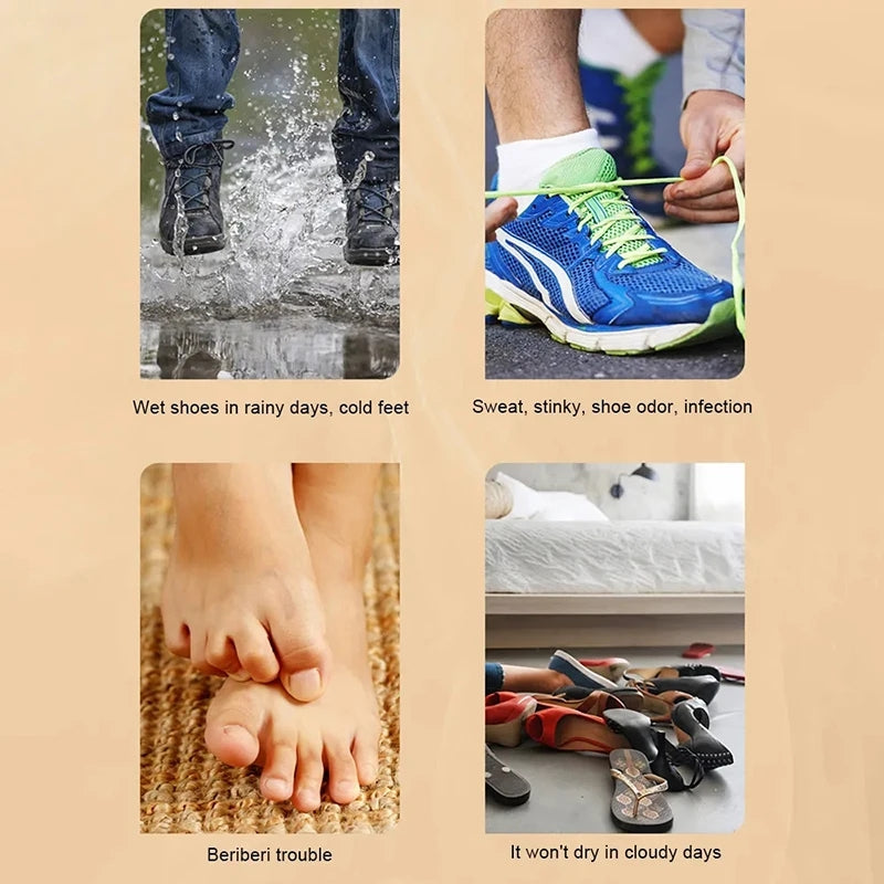 Intelligent Electric Shoe Dryer