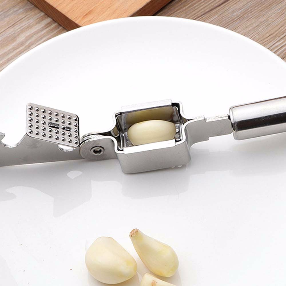 Stainless Steel Garlic Presser